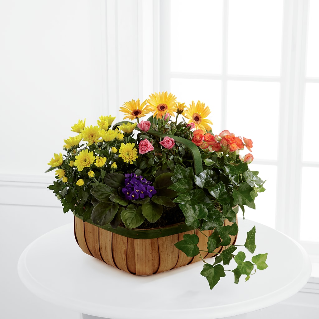 Gentle Blossoms Basket – Magical Flowers, Naples FL