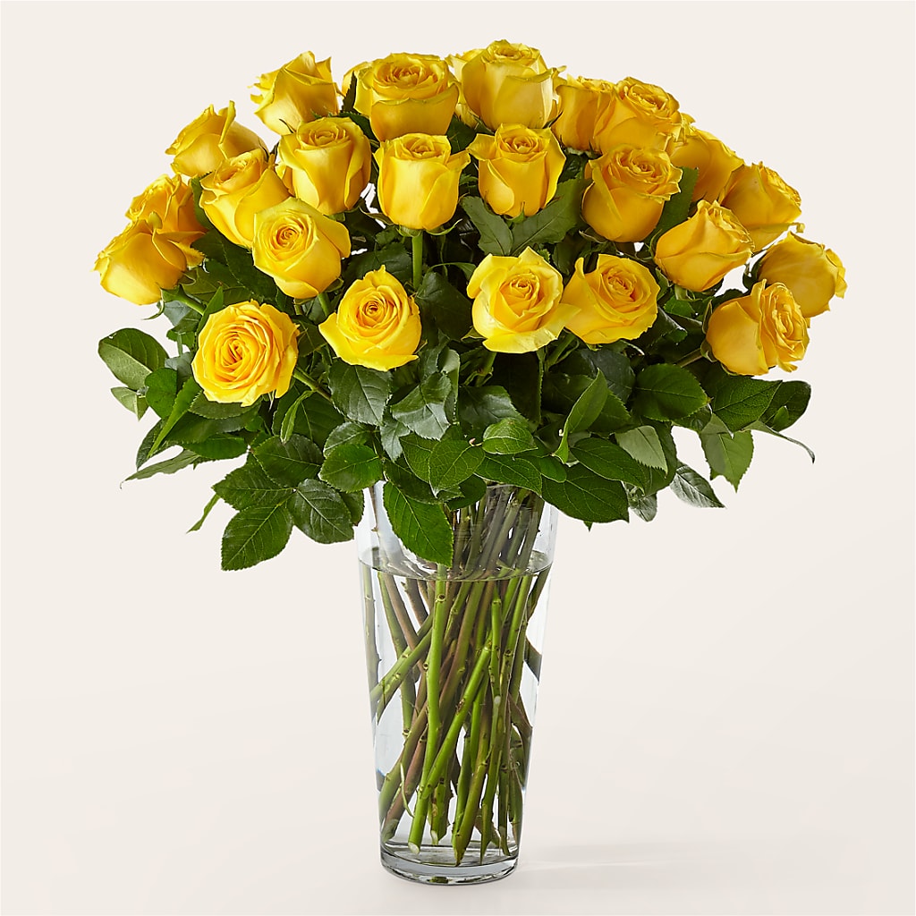 Long Stem Yellow Rose Bouquet – Magical Flowers, Naples FL