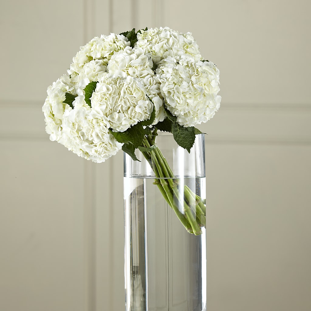 White Hydrangea Hand-Tied Bouquet – Magical Flowers, Naples FL