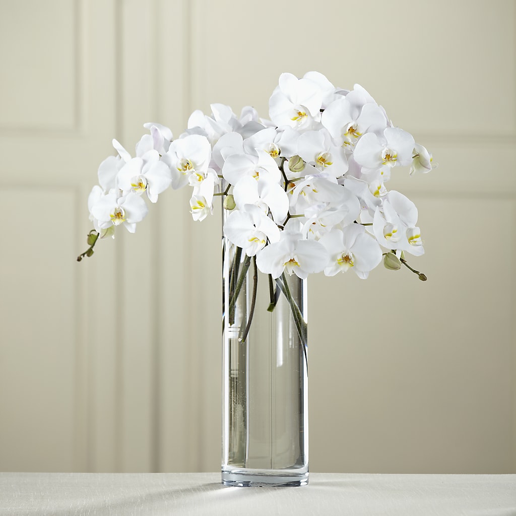White Phalaenopsis Bouquet – Magical Flowers, Naples FL