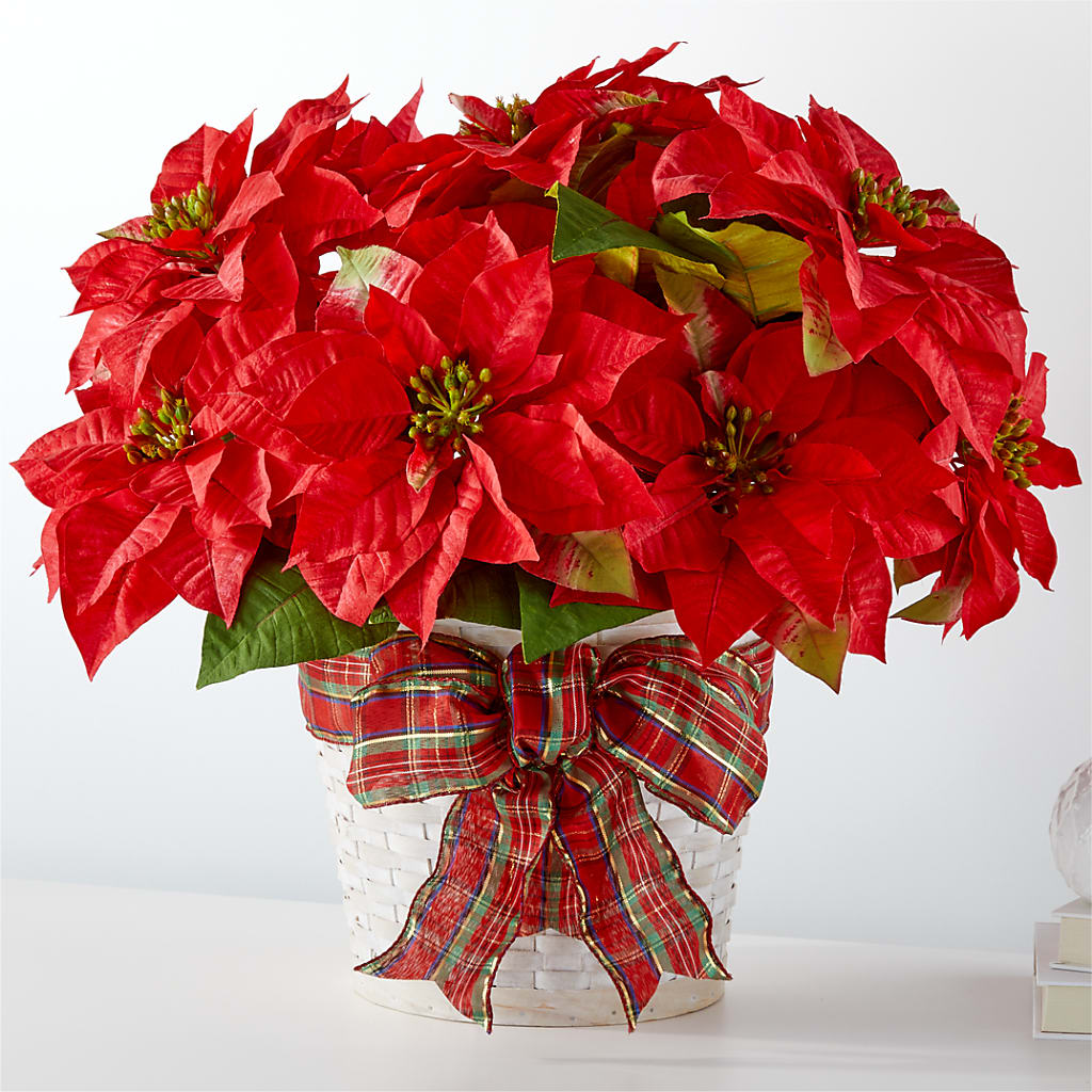 Happiest Holidays Poinsettia –  Magical Flowers, Naples FL