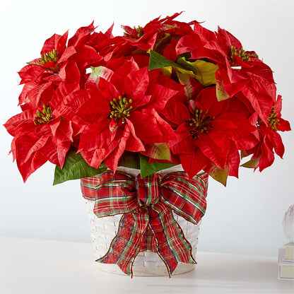 Happiest Holidays Poinsettia –  Magical Flowers, Naples FL