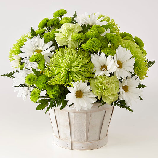 Lucky Charm Basket (Standard) –  Magical Flowers, Naples FL