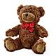 Adorable Plush Bear –  Magical Flowers, Naples FL