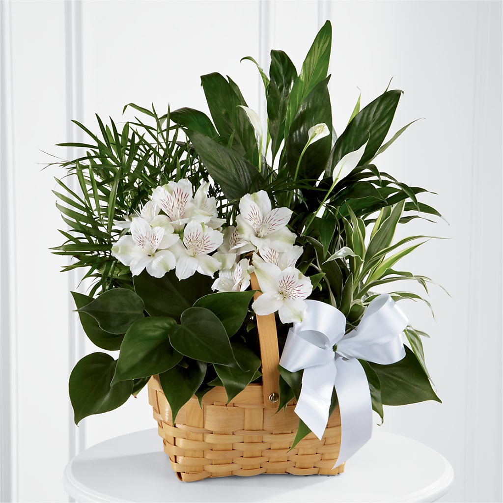 Peace & Serenity Dishgarden –  Magical Flowers, Naples FL