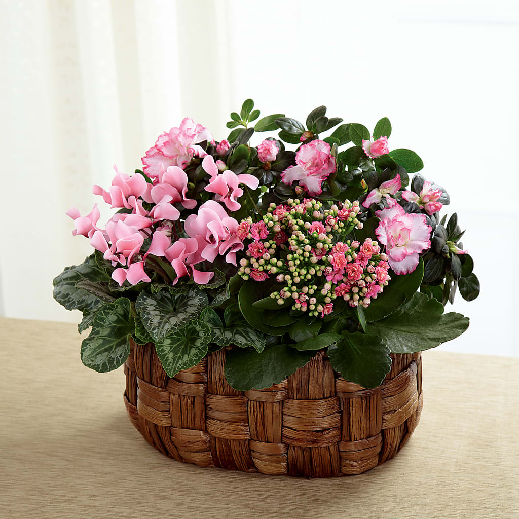Pink Assortment –  Magical Flowers, Naples FL