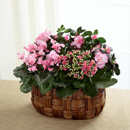 Pink Assortment –  Magical Flowers, Naples FL