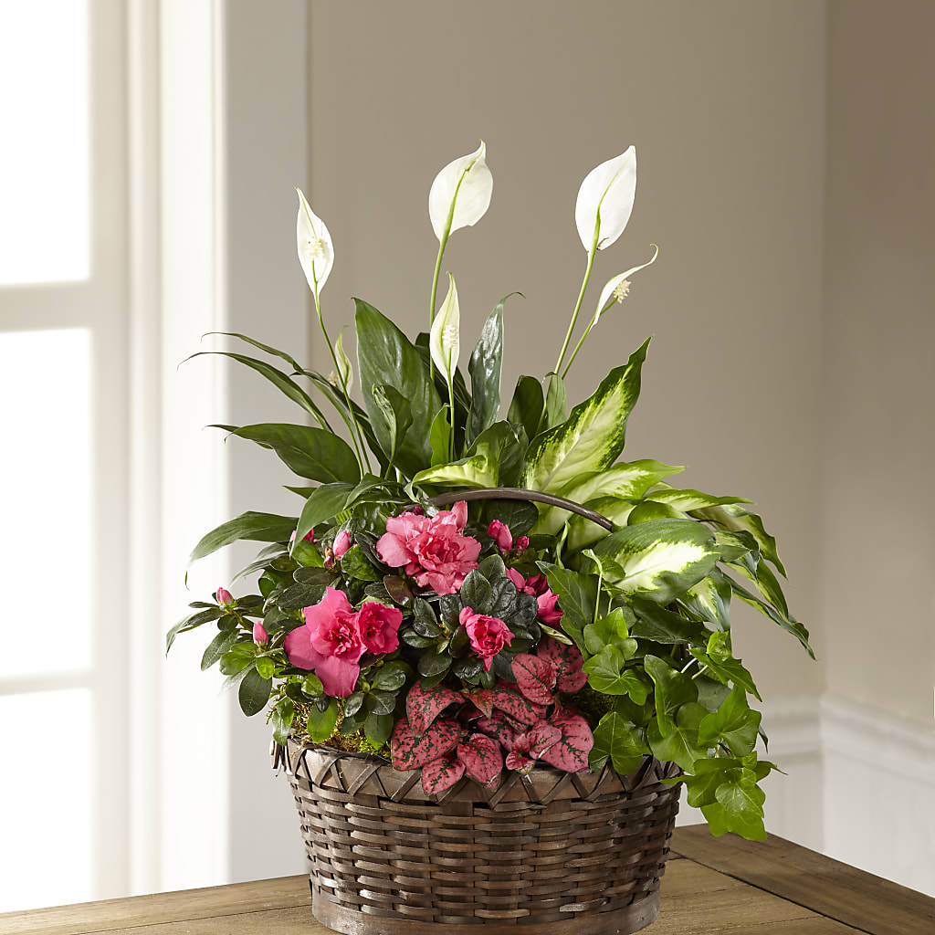 Dream in Pink Dishgarden –  Magical Flowers, Naples FL