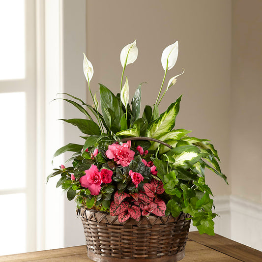 Dream in Pink Dishgarden –  Magical Flowers, Naples FL