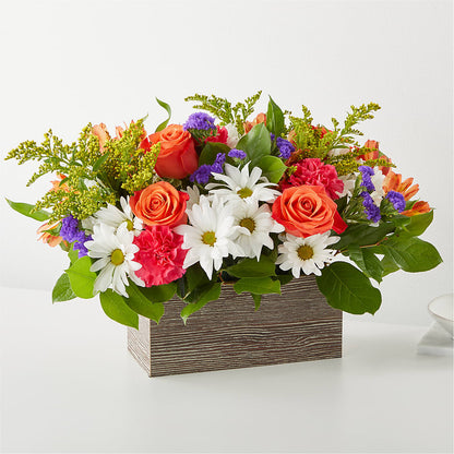 Oopsie Daisy Box Bouquet –  Magical Flowers, Naples FL