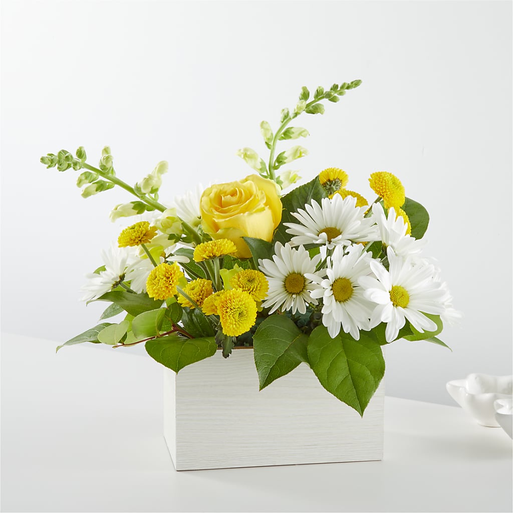 Sun Salutation Box Bouquet –  Magical Flowers, Naples FL