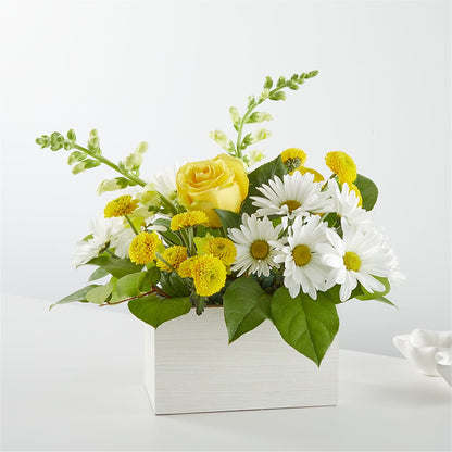 Sun Salutation Box Bouquet –  Magical Flowers, Naples FL