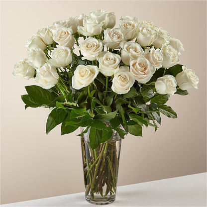 Long Stem White Rose Bouquet –  Magical Flowers, Naples FL