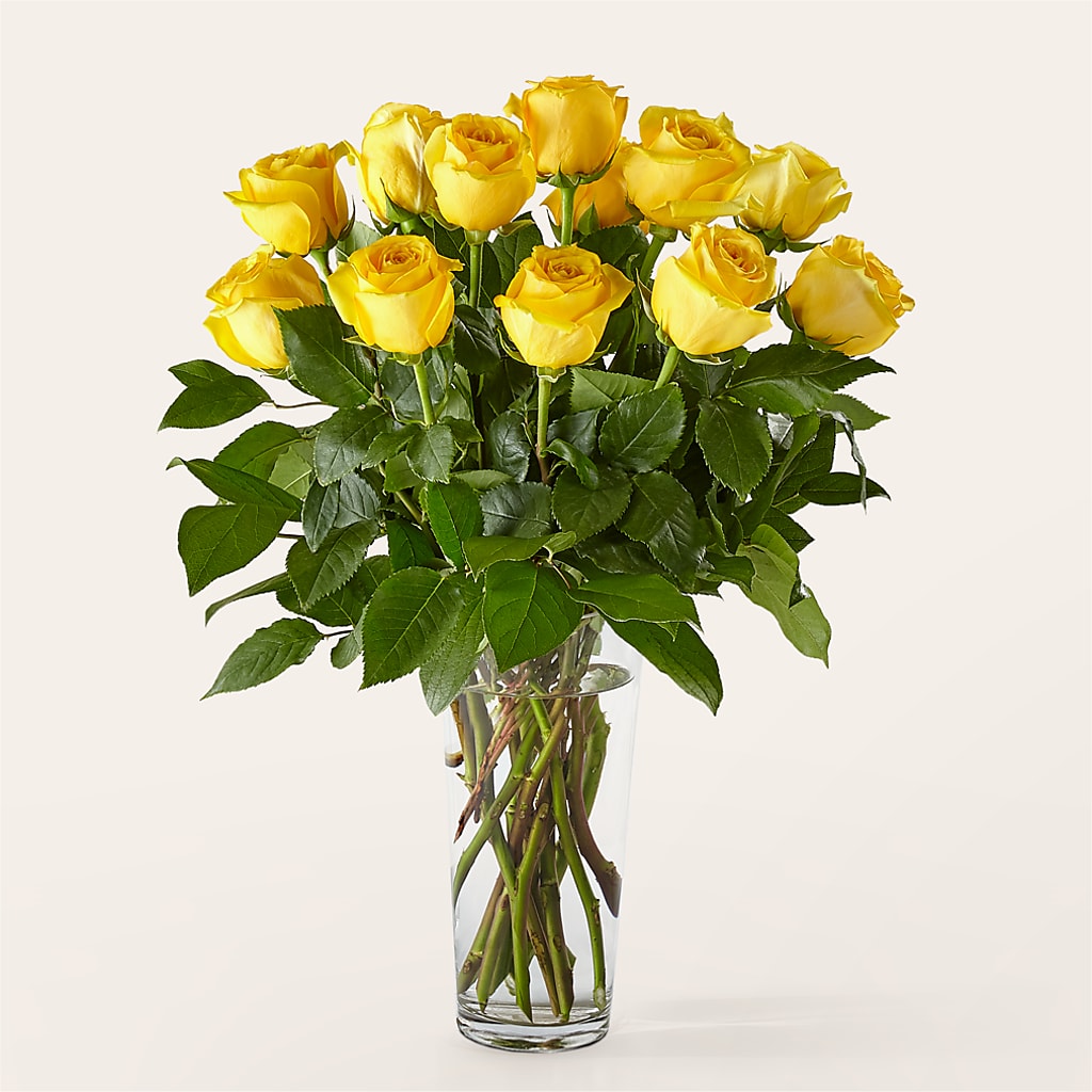 Long Stem Yellow Rose Bouquet –  Magical Flowers, Naples FL