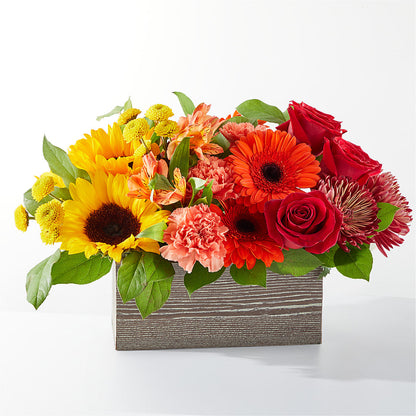 Autumn Orchard Bouquet –  Magical Flowers, Naples FL