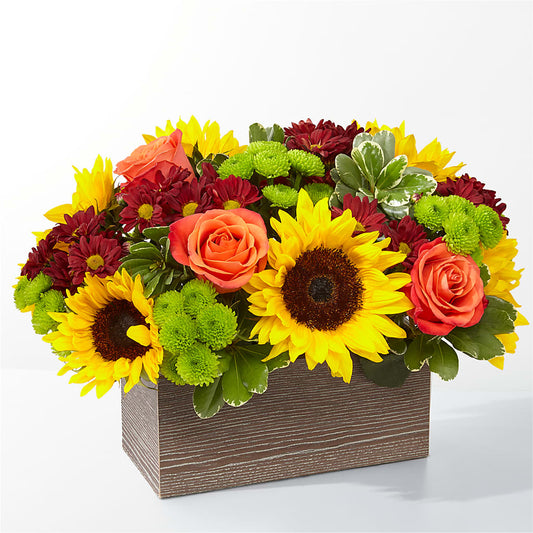 Happy Harvest Garden –  Magical Flowers, Naples FL