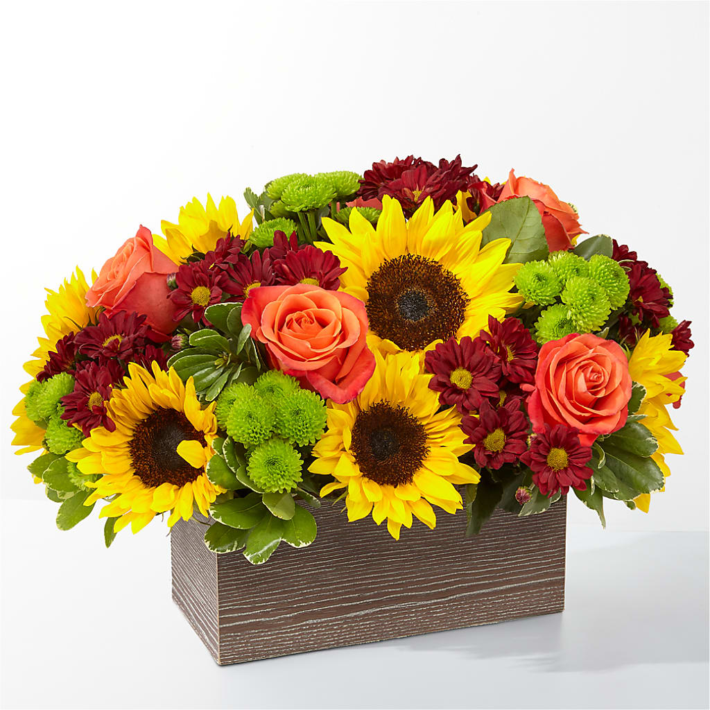 Happy Harvest Garden –  Magical Flowers, Naples FL