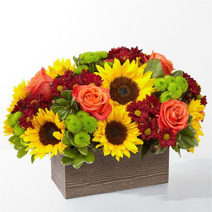 Happy Harvest Garden –  Magical Flowers, Naples FL