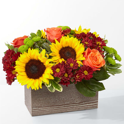 Happy Harvest Garden –  Magical Flowers, Naples FL