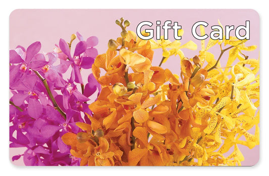 Gift Card –  Magical Flowers, Naples FL
