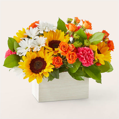 Sun-drenched Blooms Box Bouquet –  Magical Flowers, Naples FL