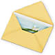 Greeting Card –  Magical Flowers, Naples FL