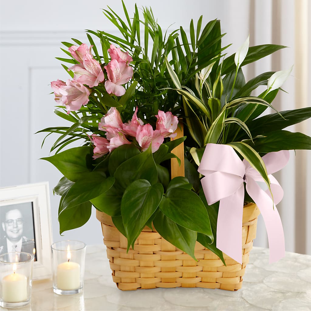 Living Spirit Dishgarden –  Magical Flowers, Naples FL