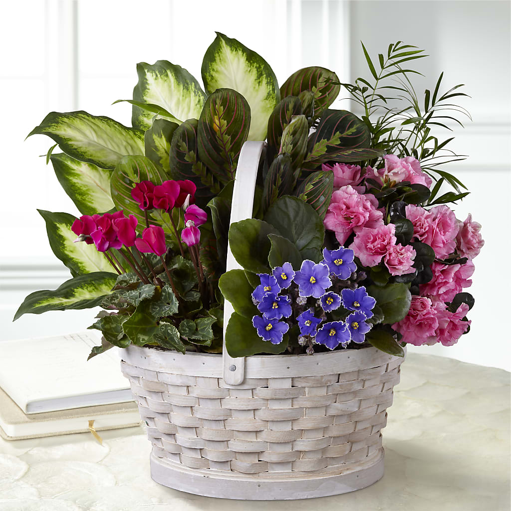 Peaceful Garden Planter –  Magical Flowers, Naples FL