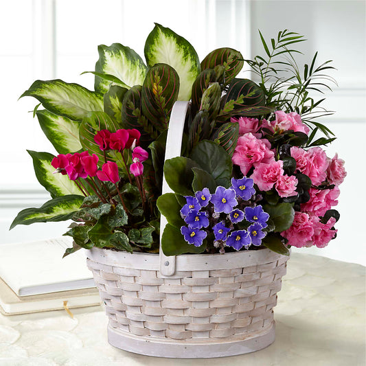 Peaceful Garden Planter –  Magical Flowers, Naples FL