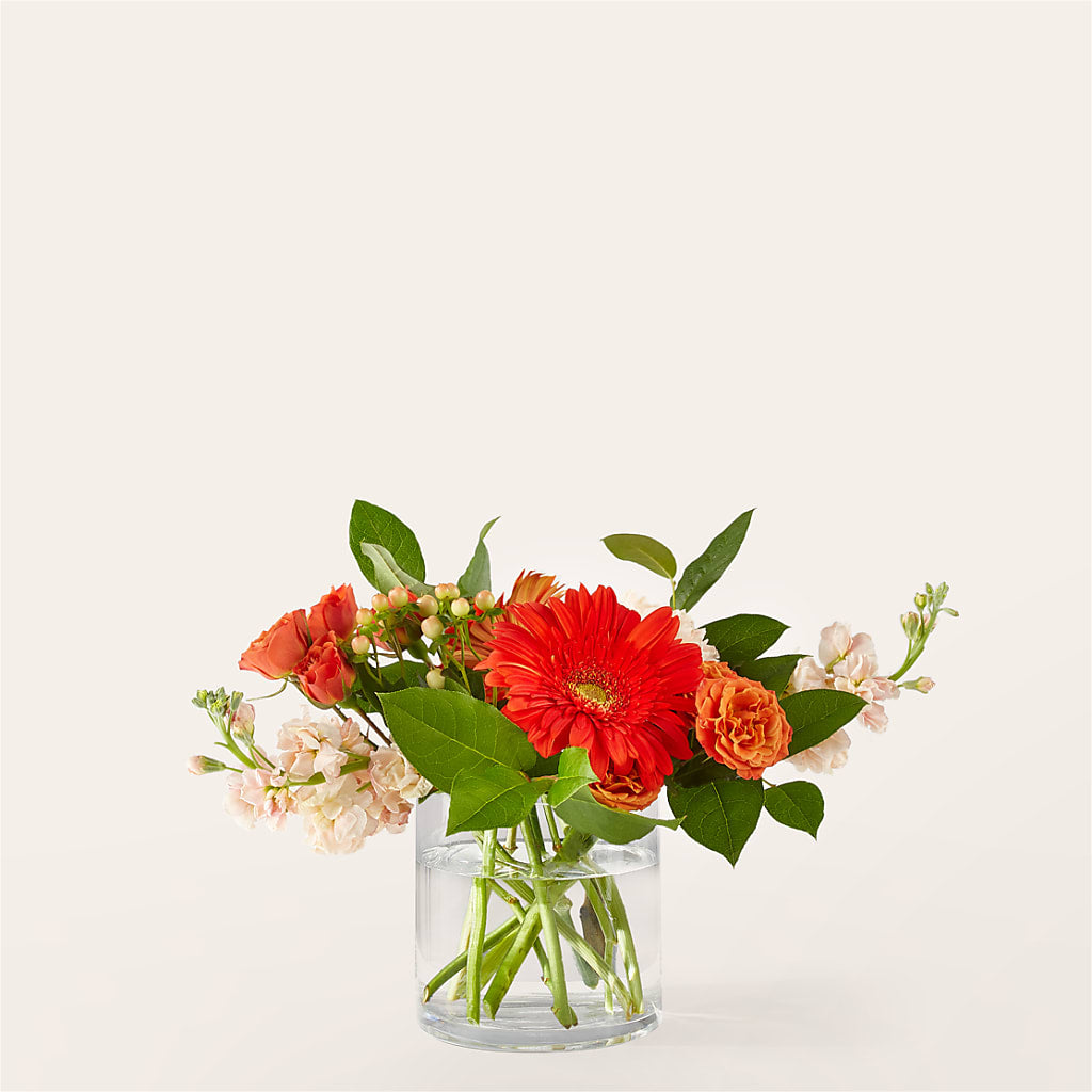 Paloma Please Bouquet –  Magical Flowers, Naples FL