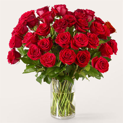 The One Red Rose Bouquet –  Magical Flowers, Naples FL