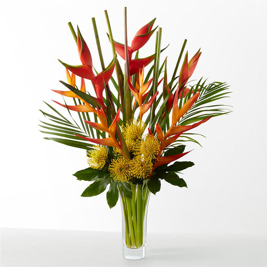 The Drama –  Magical Flowers, Naples FL