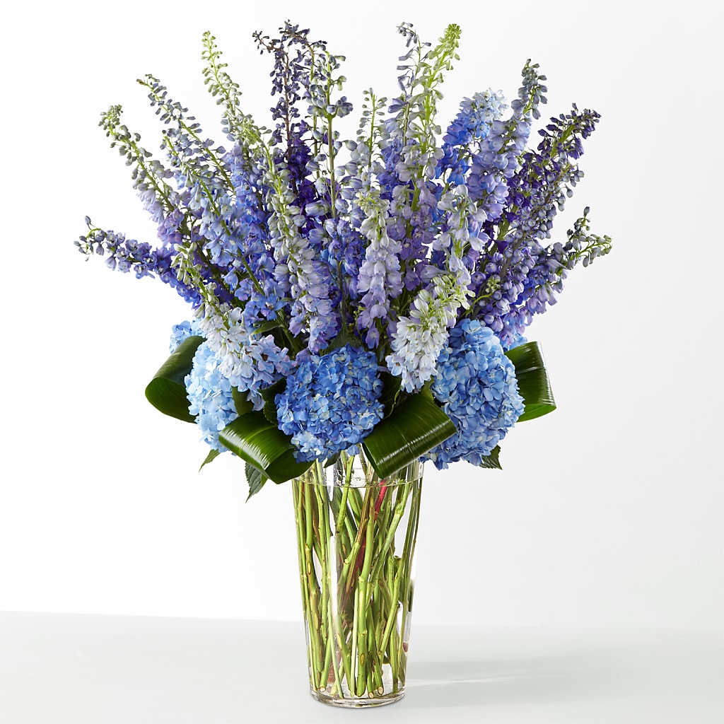 The Editorial –  Magical Flowers, Naples FL