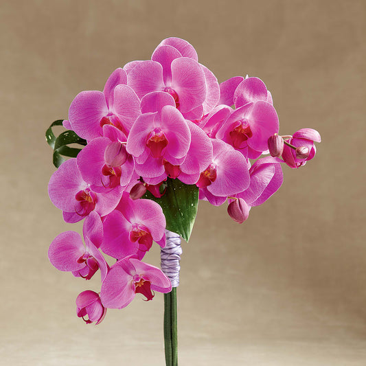 Glorious Bouquet –  Magical Flowers, Naples FL