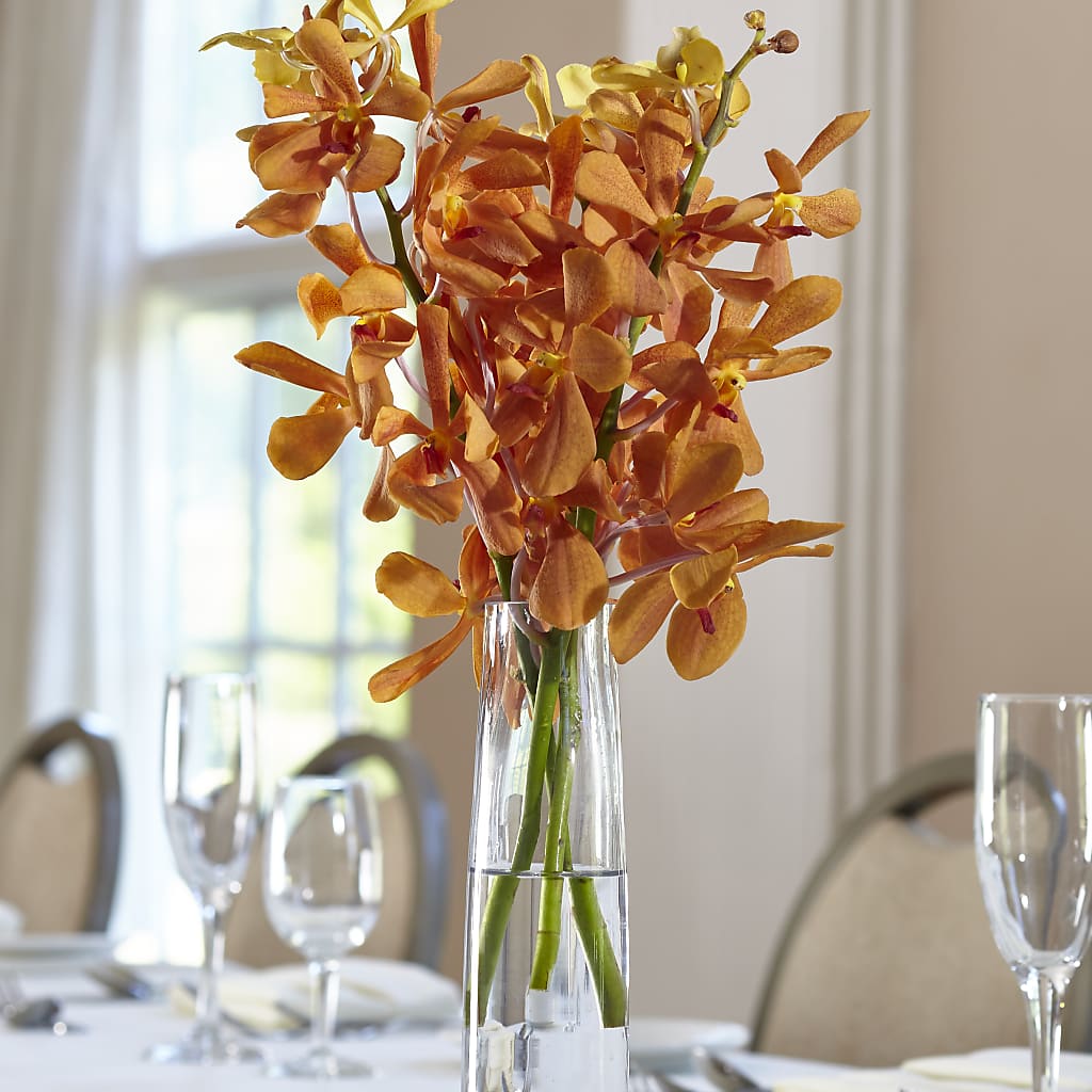 Orange Mokara Bud Vase –  Magical Flowers, Naples FL