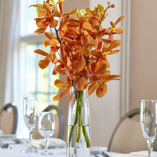 Orange Mokara Bud Vase –  Magical Flowers, Naples FL