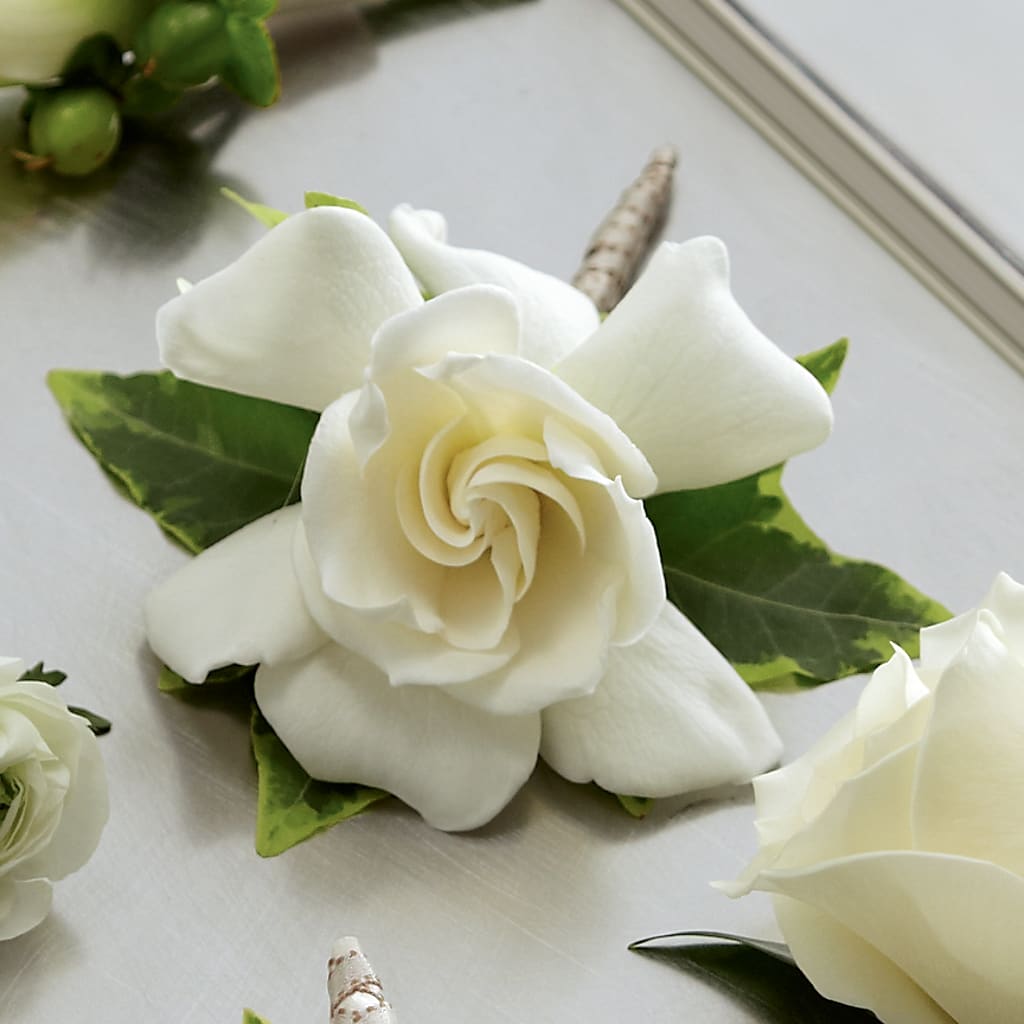 Gardenia Boutonniere –  Magical Flowers, Naples FL