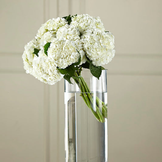 White Hydrangea Hand-Tied Bouquet –  Magical Flowers, Naples FL