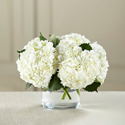 White Hydrangea Bouquet –  Magical Flowers, Naples FL